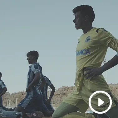 Adestrapp - iagodesant.com