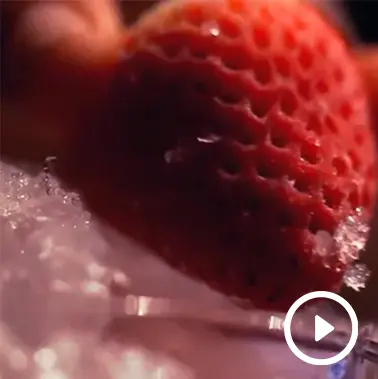 Carta Visual - iagodesant.com